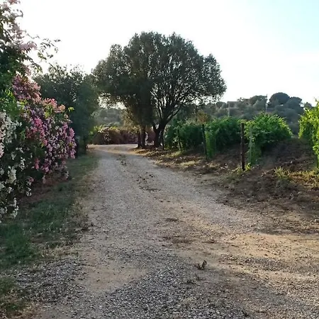 Agriturismo Muristene *